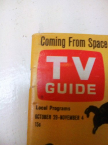 TV Guide 1966 The Green Hornet Van Williams Kato Bruce Lee #709 V14N44 VTG COA