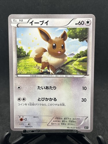 イーブイ THE BEST OF XY 100/171 たいあたり　13枚 イーブイ THE BEST OF XY 100/171 たいあたり 13枚 イーブイ THE