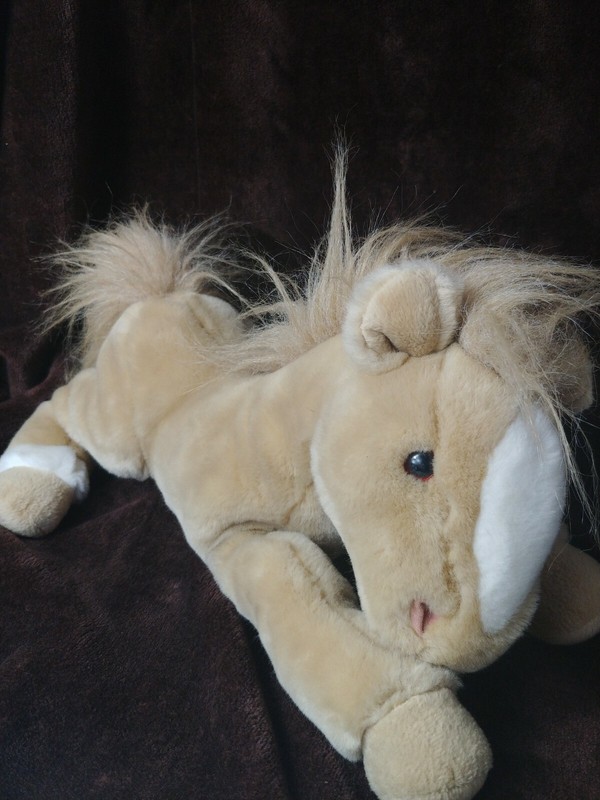 animal alley lion