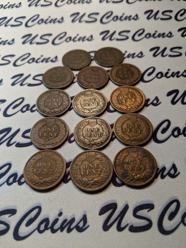 Indian head penny lot, 14 Coins, NO DUPLICATE DATES (12119-1)
