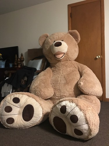 giant 5ft teddy bear