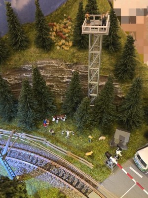 Fotos del artículo de un comprador verificado