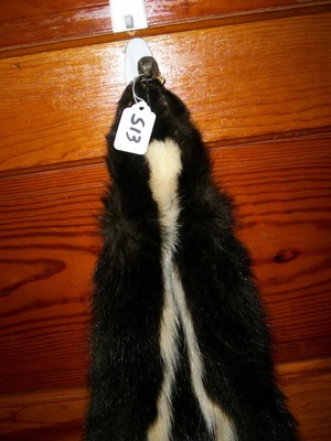 BEAUTIFUL tanned SKUNK 4 FEET CLAWS FUR PELT TAXIDERMY mount NO SMELL S13 cabin