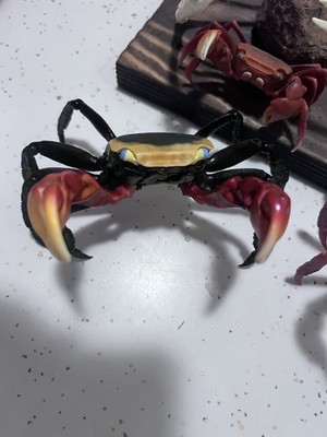 Photos de l'objet d'un acheteur vérifié