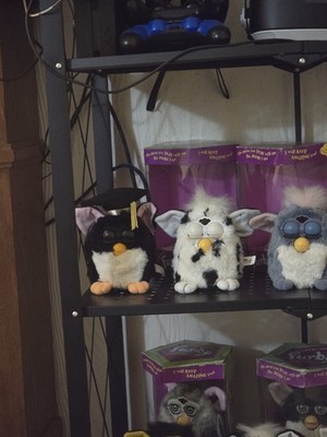 Artikelfoto(s) von einem verifizierten Käufer