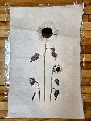Barloga Studios Signed Sunflower Photographic on Hand-made Paper 20''x30''- CREASE