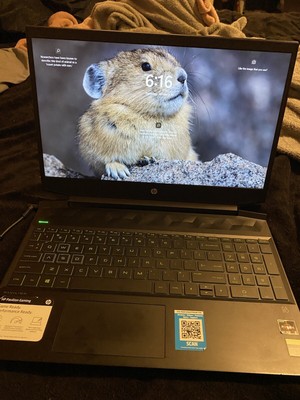 HP Pavilion 15.6'' Laptop Intel Core i5-9300H 256GB SSD 8GB RAM NVIDIA GTX 1050