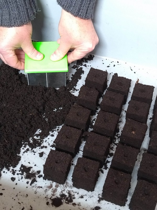 Presse Mottes 40x40mm | 4 AlvéOles | Toutes Graines | Neuf