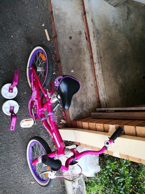 mini della cruz bike