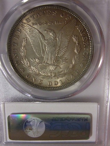 1884  Morgan Dollar PCGS MS64 +