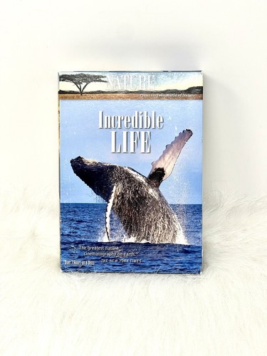 その他 Nature: Extraordinary Animals [DVD] Amazon.com: Animal Atlas: Animals and Us : Movies & TV