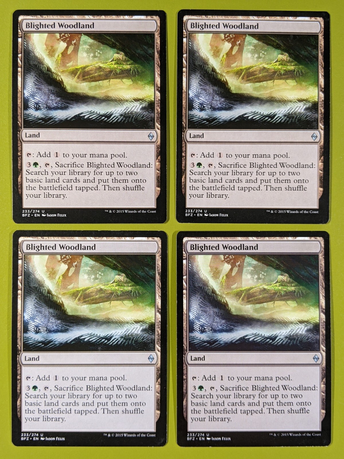 Blighted Woodland 1x FOIL BFZ MTG Battle for Zendikar Uncommon MINT green land Blighted Woodland 1x FOIL BFZ MTG Battle for Zendikar Uncommon MINT green land