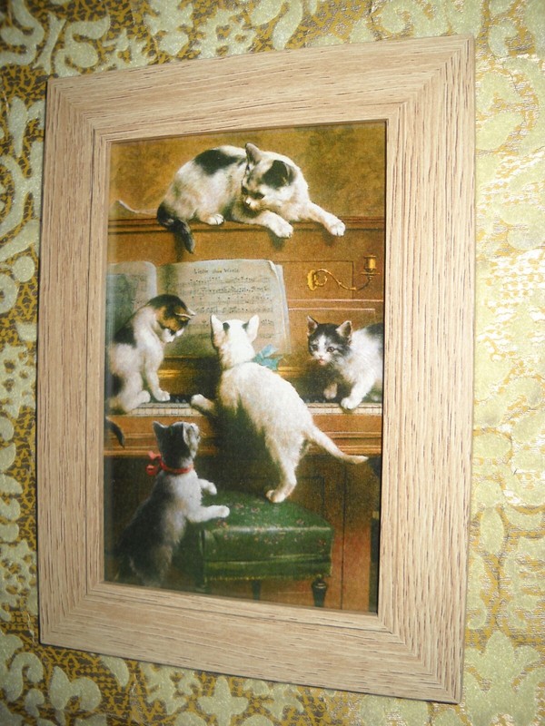 5 CATS EXAMINE PIANO 4 X 6 blond framed animal