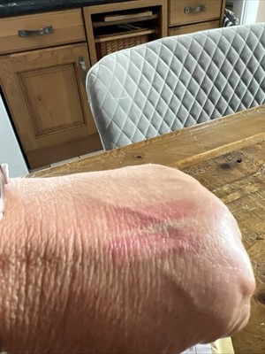 Artikelfoto(s) von einem verifizierten Käufer