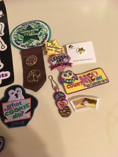 Girl Scout PIn Lot Brownie Awards Brown Ribbon Daisy Award Enamel *
