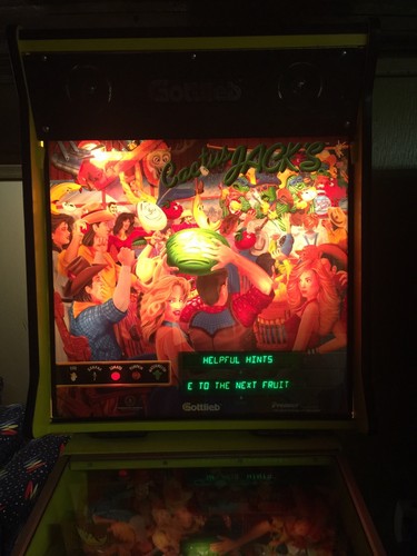 Gottlieb Cactus Jack Pinball Machine