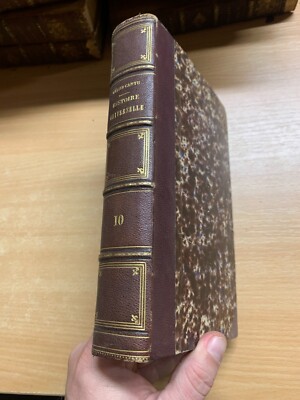 RARE 1862 ''HISTOIRE UNIVERSELLE'' CESAR CANTU VOL 10 FRENCH ANTIQUE BOOK (P6)