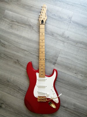 Electric Vintage Peavey