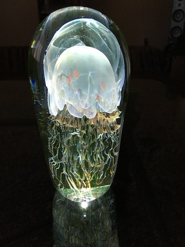 Richard Satava Art Glass 