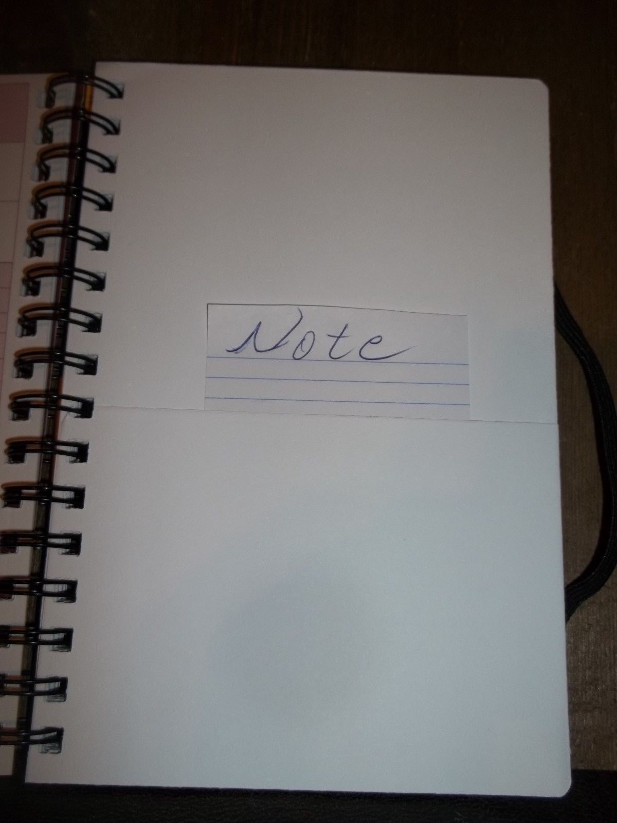 NEW SPIRAL BOUND~ISN'T LIFE GRAPE? WINE IS LIFE WINE TASTING JOURNAL