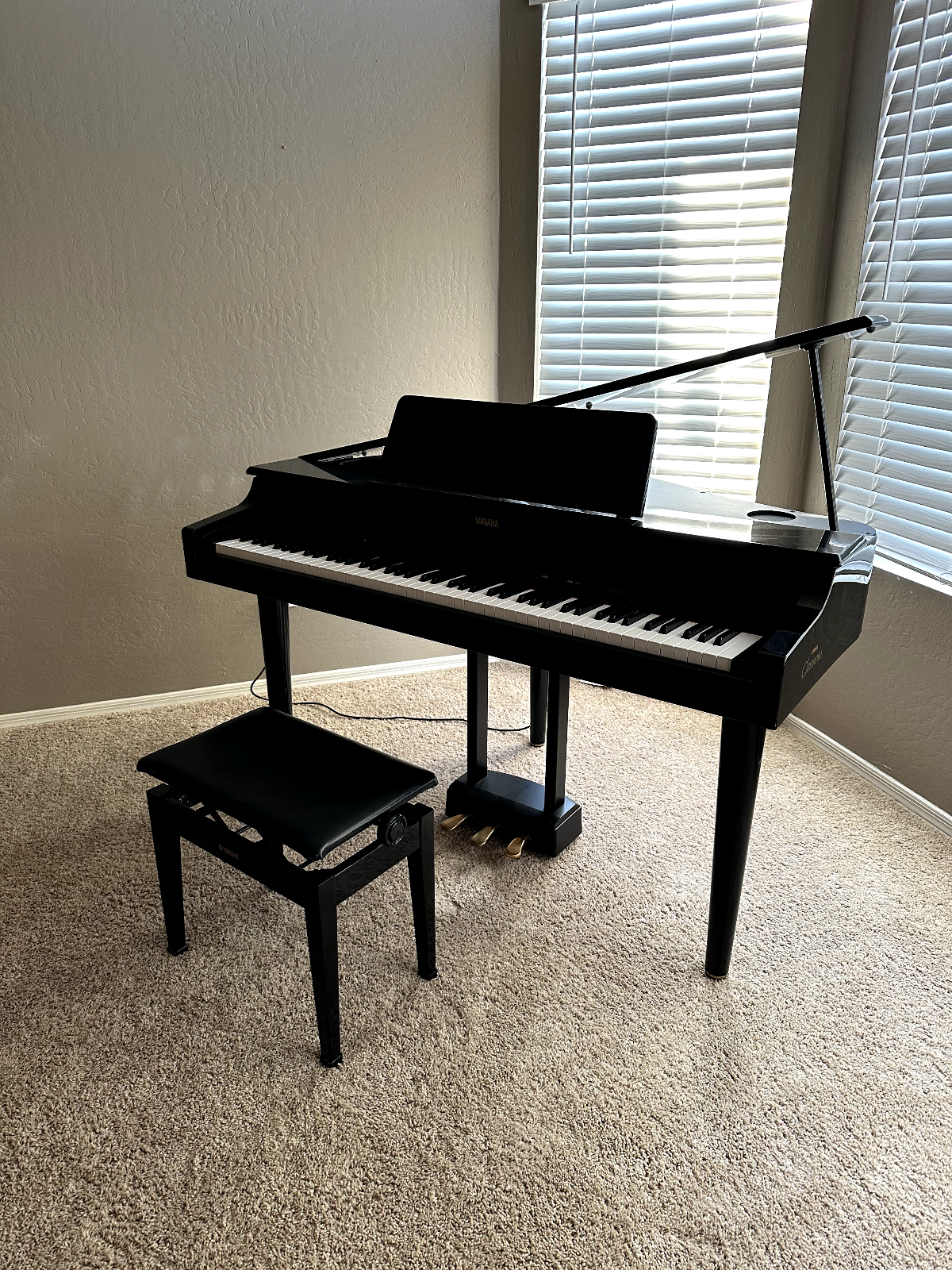 With Yamaha Chair