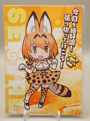Serval Kemono Friends Post Card Japanese Anime C999