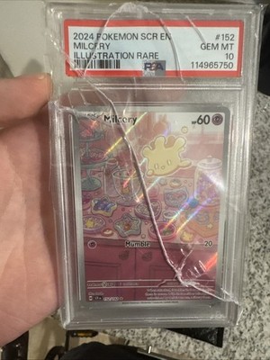 Photos de l'objet d'un acheteur vérifié