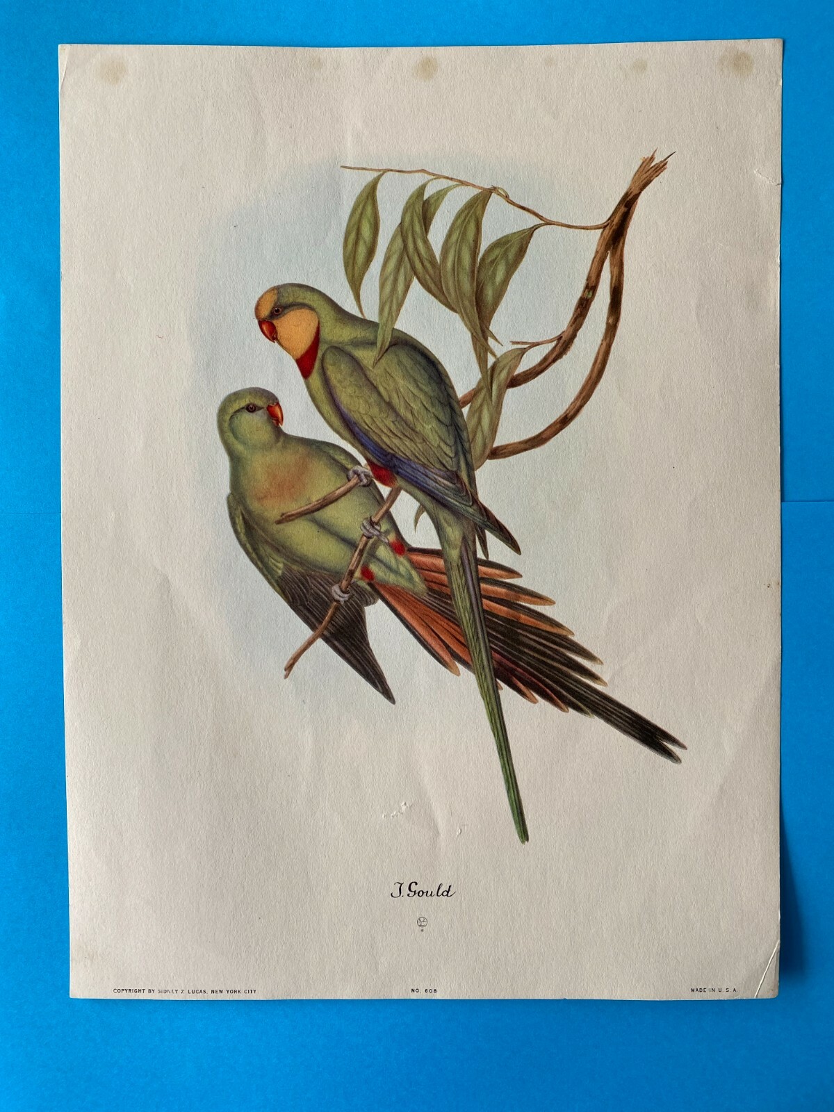 絵画 bird UTAGAWA HIROSHIGE, EDO PERIOD, 19TH CENTURY | BIRD AND PINE