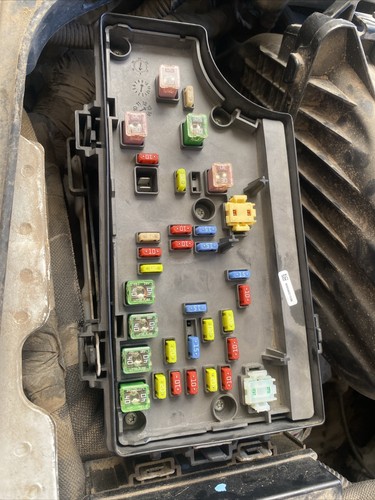 Artikelfoto(s) von einem verifizierten Käufer