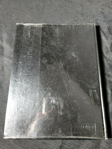 Picture 2