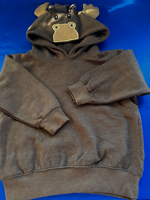 3t pullover best sale hoodie