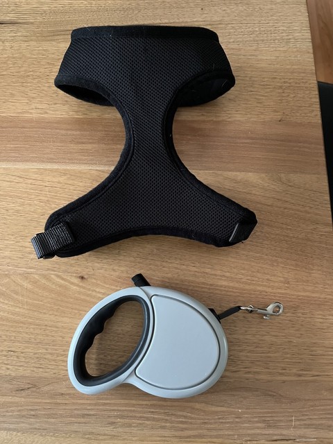 kmart retractable lead