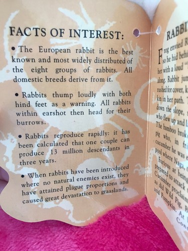 Folkmanis Puppets Rabbits (Dutch rabbit + White Rabbit) - Smoke/Pet Free Home