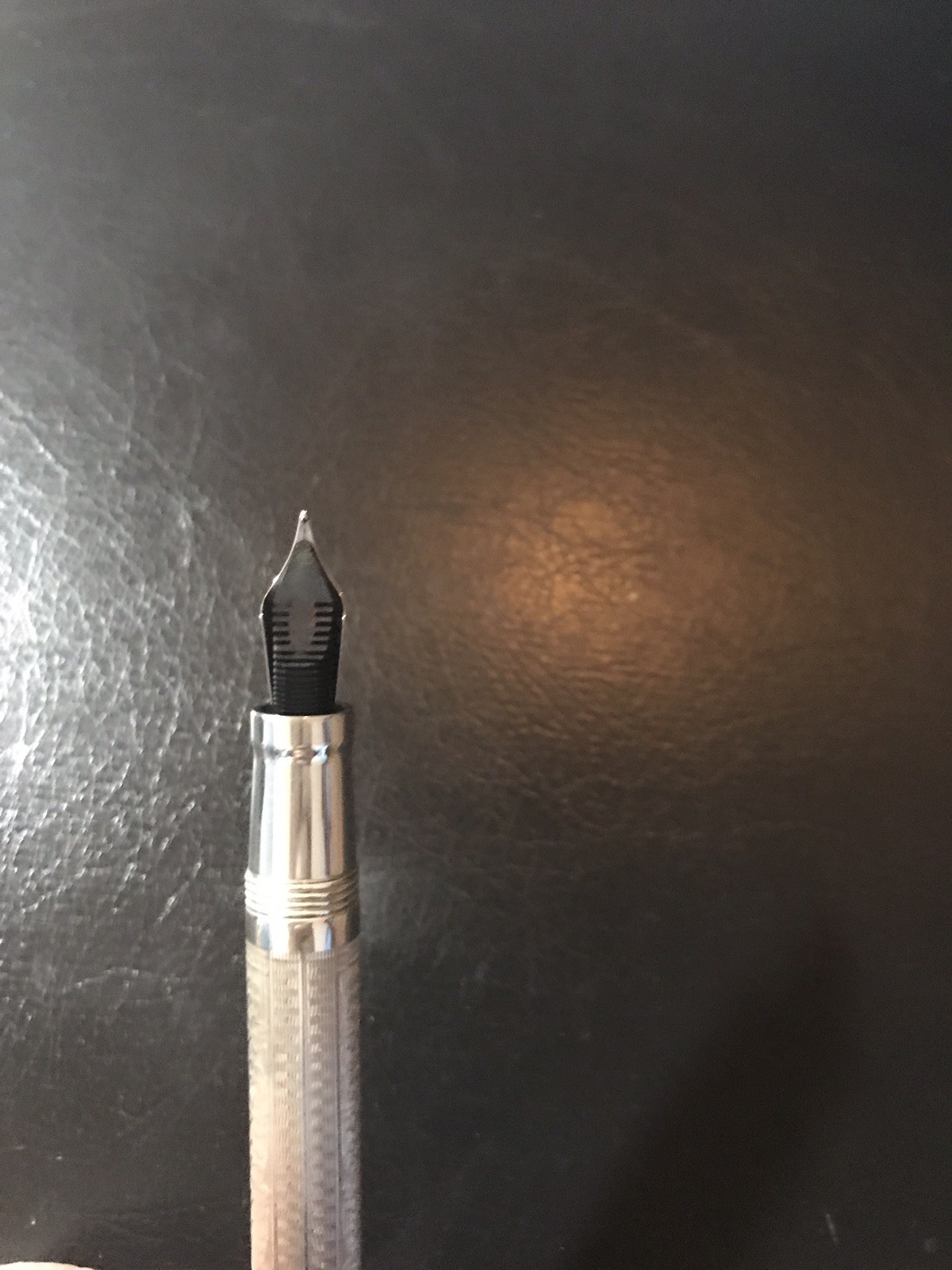 Montegrappa Limited Edition Two Roses Fountain Pen M Nib