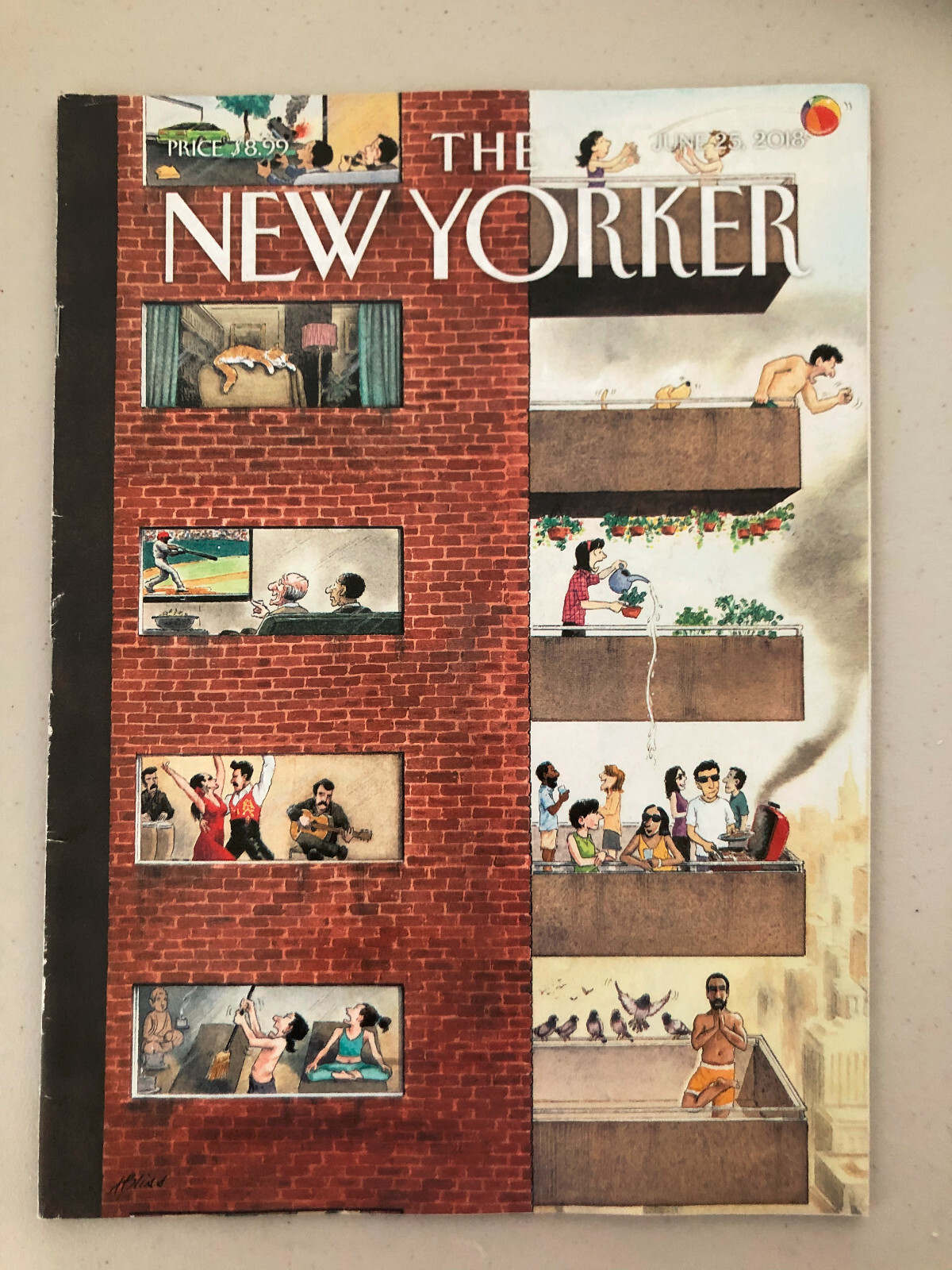 The New Yorker Magazine June 25, 2018 City Living Harry