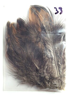PHEASANT TAIL FEATHERS - U PICK - Various Feather Packs - Fly Tying Materials