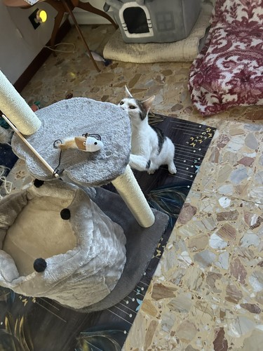 Zdjęcia przedmiotu od zweryfikowanego kupującego