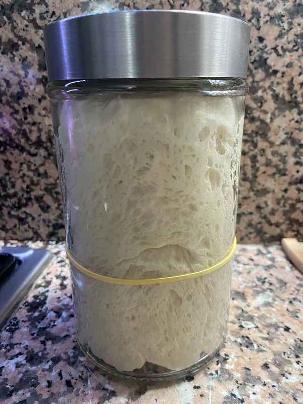 Lievito / Pasta Madre Solida 200 Gr. In Barattolo Top Per Pane Pizza Panettoni