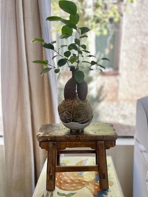 Foto dell'oggetto di un acquirente verificato