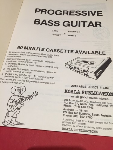 Bass Guitar For Beginner To Advanced Students