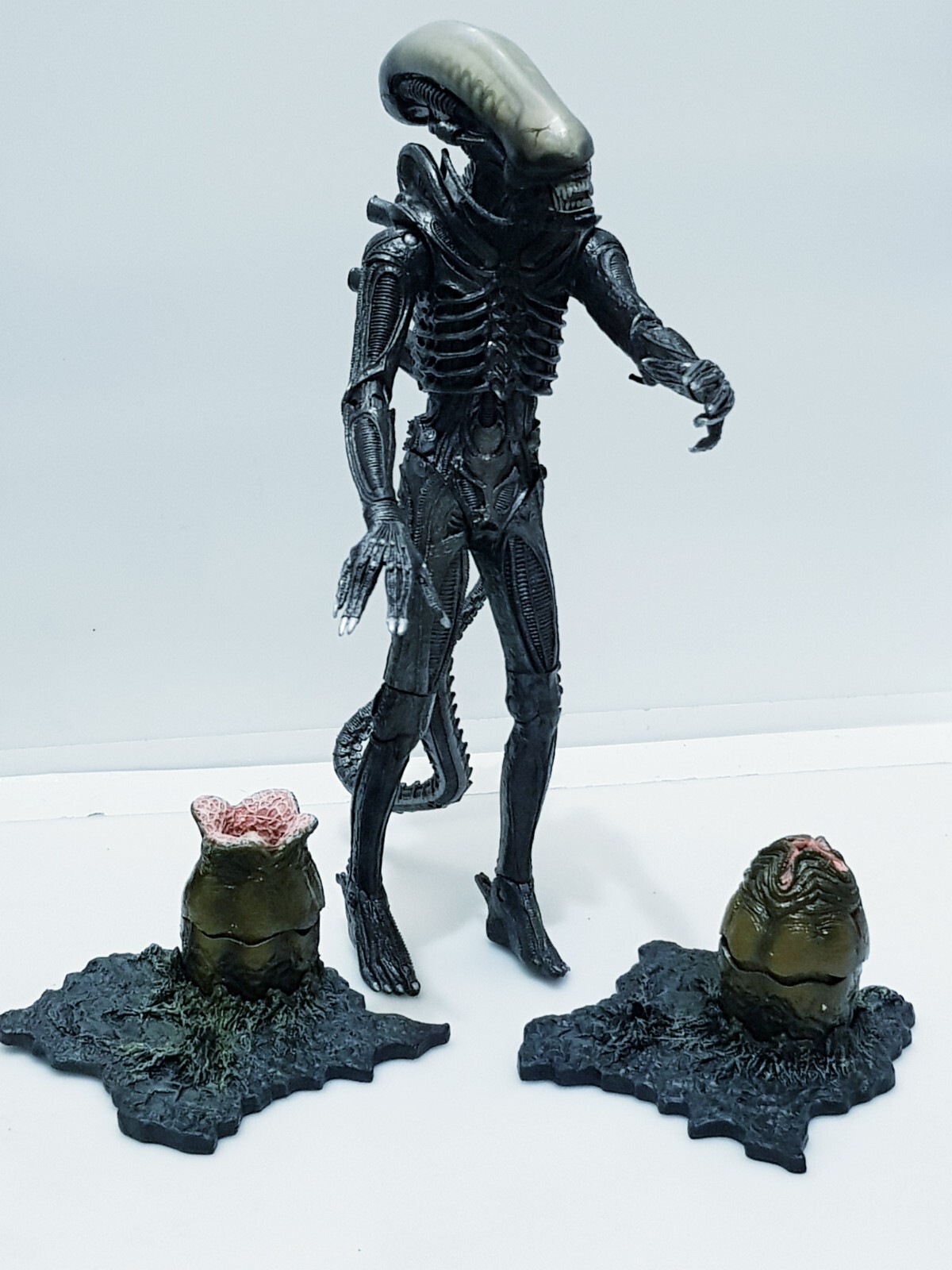 NECA ALIEN フィギュア 9インチ以上 Amazon | NECA - Alien 40th Anniversary Series Wave 4 Figure