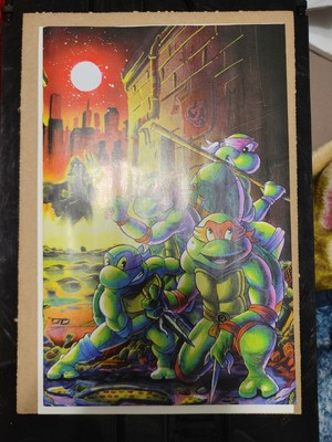 Tmnt Saturday Morning Adventures By Poncho *Damaged, Check Pictures *