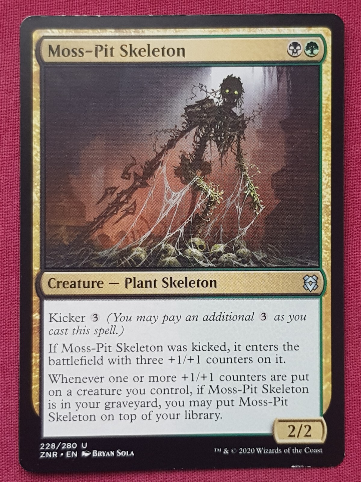 Zendikar Expeditions 繁殖池 MPS 状態SP mtg Zendikar Expeditions 繁殖池 MPS 状態SP mtg マジック：ザ