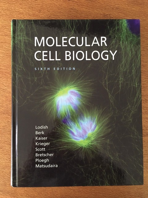 Molecular Cell Biology 6th Edition by Lodish | Textbooks | Gumtree