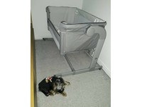 chicco next to me elegance mattress