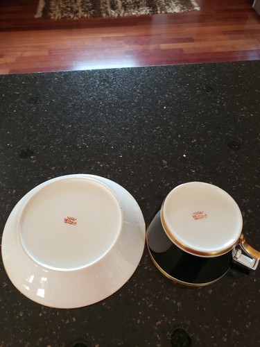 Richard Ginori Black Visconte Cup and Saucer