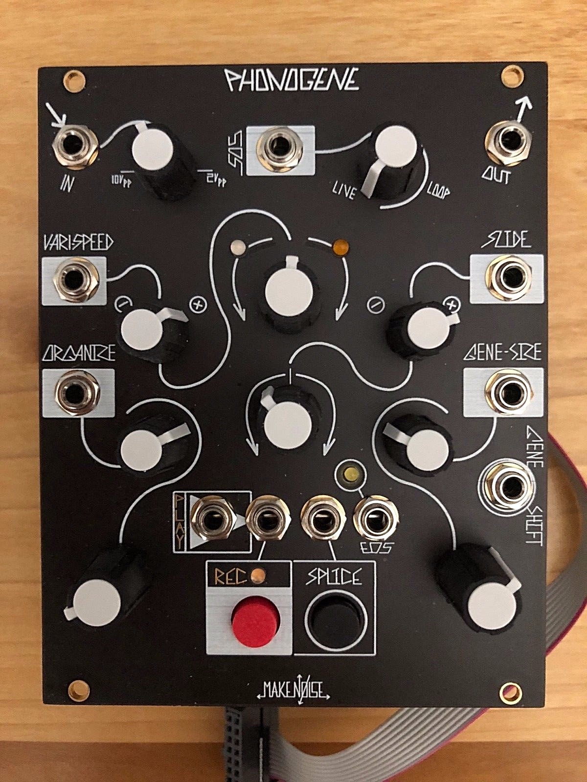 Make Noise Phonogene  2016 EURORACK - Black and Gold 2016