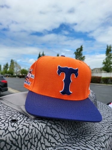 ちぃちゃん　ヘザーブラウン　パイン65ターコイズスクエアレモンM　額縁 ちぃちゃん ヘザーブラウン パイン65ターコイズスクエアレモンM