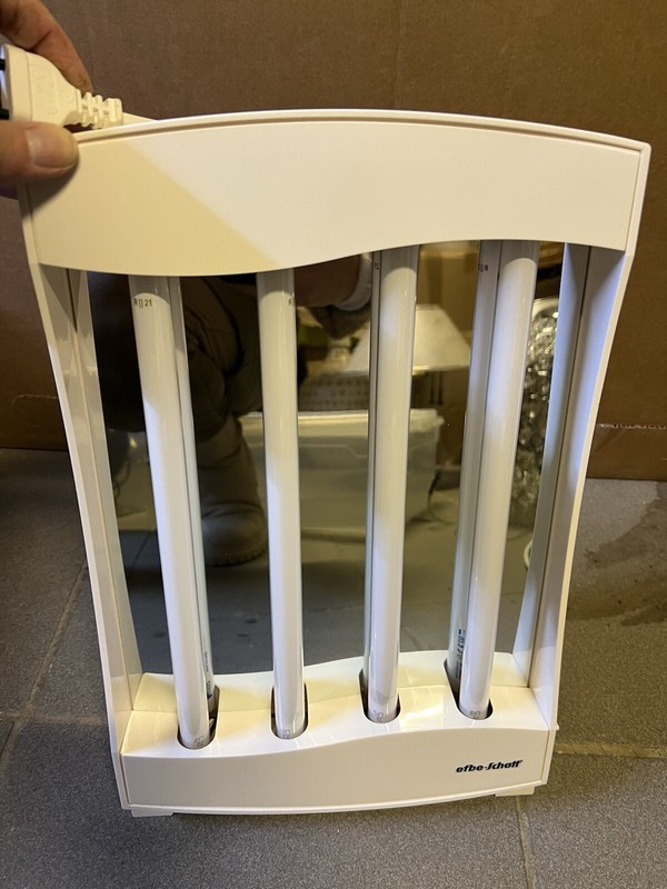 GesichtsbrÃ¤Uner Efber Shcott