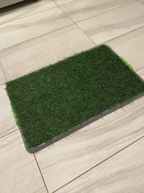 kmart dog pee mat